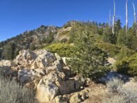 1/10/2025. Ontario Peak via Icehouse Canyon (12. 1 mi, 3,884 ft gain)