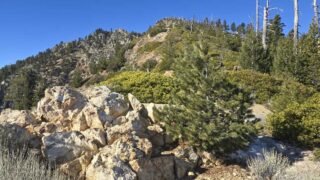 1/10/2025. Ontario Peak via Icehouse Canyon (12. 1 mi, 3,884 ft gain)