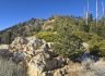 1/10/2025. Ontario Peak via Icehouse Canyon (12. 1 mi, 3,884 ft gain)