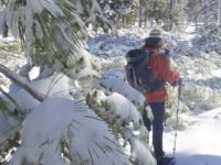 2/15//2025 Cali Campground via Icehouse Canyon
