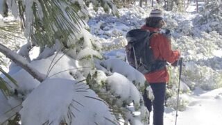 2/15//2025 Cali Campground via Icehouse Canyon
