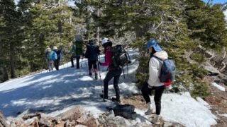 3/22/2025   Windy Gap to Mount Islip to Big Cienega Trail(8 mi, 2,398 ft gain )
