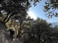 3/29/2025  Momyer Creek Trail to Dobbs Cavin  (12.9 mi,  3,123 ft gain )