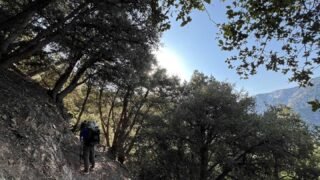 3/29/2025  Momyer Creek Trail to Dobbs Cavin  (12.9 mi,  3,123 ft gain )