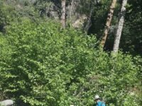 4/19/2025  PCT Trail- Montezuma Valley Rd to Eagle Rock (8 mi, 1,089 ft  gain))