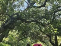 5/31/2025   Gabrieleno Trail ( 8.5 mi, 2,280 ft gain )