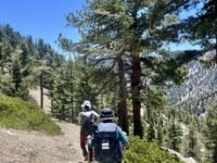 6/07/2025   Timber Peak via Icehouse Canyon (9.8 mi,  2,874 ft gain)