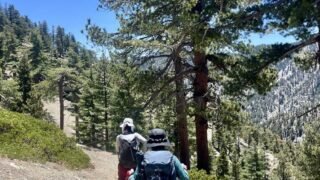 6/07/2025   Timber Peak via Icehouse Canyon (9.8 mi,  2,874 ft gain)