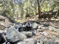 7/5/2025  Mt Wilson via Gabrieliano Trail from Red Box (Loss 2,280 ft / Gain 1,280 ft)