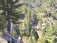 8/16/25  Ontario Peak(8,862ft) via Icehouse Canyon (12.1 mi,  3,884 ft gain)