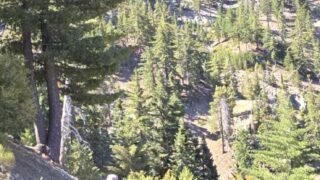 8/16/25  Ontario Peak(8,862ft) via Icehouse Canyon (12.1 mi,  3,884 ft gain)