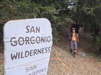 8/23/2025  Momyer Creek Trail to Dobbs Cavin ( 12.9 mi,  3,123 ft gain )