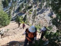 10/18/25  Cucamonga Peak(8,860ft) via Icehouse Canyon ( 12.5 mi,  4,314 ft gain )