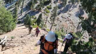 10/18/25  Cucamonga Peak(8,860ft) via Icehouse Canyon ( 12.5 mi,  4,314 ft gain )