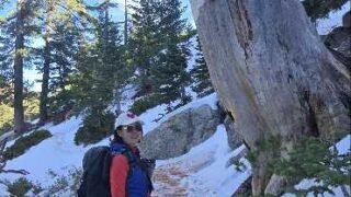 12/13/2025  Bighorn Peak(8,860ft) via Icehouse Canyon (12.2 mi,  3,550 ft gain)