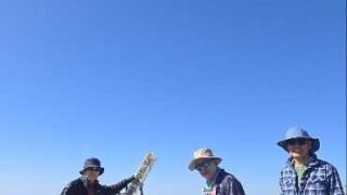 1/31/26 Telegraph Peak via Baldy top of Notch (9.4 mi,  3,434 ft gain)