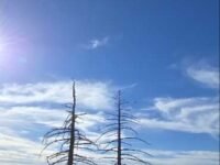 2/7/26  Twin Peak via Waterman Hiking Trailhead (9.8 mi, 3,359 ft gain)