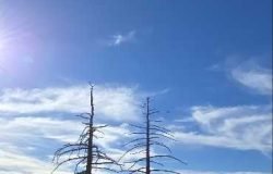 2/7/26  Twin Peak via Waterman Hiking Trailhead (9.8 mi, 3,359 ft gain)