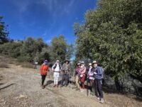 2/21/26  Manzanita Ridge via Wilson Trailhead ( Sierra Madre, 10.5 mi / Peak 15 mi,  3,636 ft gain / Peak 4,700 ft gain)