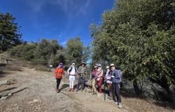 2/21/26  Manzanita Ridge via Wilson Trailhead ( Sierra Madre, 10.5 mi / Peak 15 mi,  3,636 ft gain / Peak 4,700 ft gain)