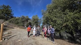 2/21/26  Manzanita Ridge via Wilson Trailhead ( Sierra Madre, 10.5 mi / Peak 15 mi,  3,636 ft gain / Peak 4,700 ft gain)