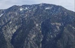 2/28/26. Timber Mount (8,860ft) via Icehouse Trail ( 9.8 mi,  3,336 ft gain)