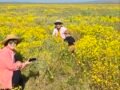 3 /14/26    Carrizo Plain National Monument  (1편)