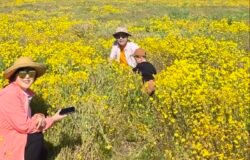 3 /14/26    Carrizo Plain National Monument  (1편)