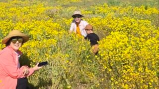 3 /14/26    Carrizo Plain National Monument  (1편)