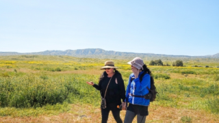 3 /14/26 Carrizo Plain National Monument (2편)