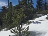 3/28/26  Ontario Peak (8,696ft,  13 mi,  3,600 ft gain)