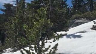 3/28/26  Ontario Peak (8,696ft,  13 mi,  3,600 ft gain)