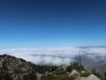 5/16/2026  Ontario Peak(8,862ft) via Icehouse Canyon )12.1 mi,  3,884 ft gain)