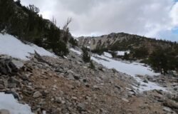 5/23/2026 South Fork Trail to San Gorgonio Mountain via Mine Shaft Saddle (20.4 mi, 4,694 ft gain)