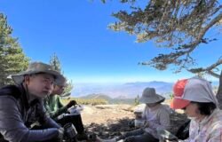 6/20/2026 San Jacinto Peak via Marion Mt Trail ( 12 ,mi, 4,020 ft gain )