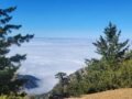 6/20/2026   San Jacinto Peak via Marion Mt Trail ( 12 ,mi, 4,020 ft gain )