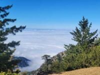 6/20/2026   San Jacinto Peak via Marion Mt Trail ( 12 ,mi, 4,020 ft gain )