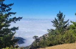 6/20/2026 San Jacinto Peak via Marion Mt Trail ( 12 ,mi, 4,020 ft gain )