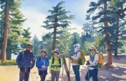 7/4/26  Timber Mount (8,860ft) via Cedar Glen Camp (9.8  mi,  3,336 ft gain)