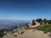7/18/2026. Cucamonga Peak(8,860ft) via Icehouse Canyon ( 12.5 mi, 4,314 ft gain)