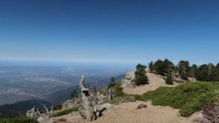 7/18/2026. Cucamonga Peak(8,860ft) via Icehouse Canyon ( 12.5 mi, 4,314 ft gain)