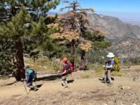 8/8 /2026 Mt Hawkins via Crystal Lake Campground ( 10.1 mi,  2,828 ft gain)