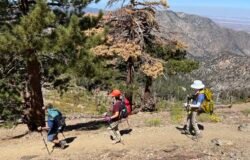 8/8 /2026 Mt Hawkins via Crystal Lake Campground ( 10.1 mi,  2,828 ft gain)