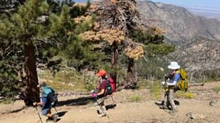 8/8 /2026 Mt Hawkins via Crystal Lake Campground ( 10.1 mi,  2,828 ft gain)