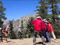 8/15/2026 Telegraph Peak via Icehouse Canyon Trail (13.5 mi,  3,431 ft gain)