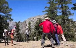 8/15/2026 Telegraph Peak via Icehouse Canyon Trail (13.5 mi, 3,431 ft gain)