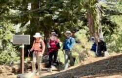 08/29/2026 Cucamonga Peak(8,860ft) via Icehouse Canyon ( 12.5 mi, 4,314 ft gain)