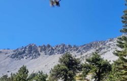 9/19/2026 Mt Baldy via Mankerflat ( 7.8 mi, 3,900 ft gain)