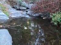 2026 10/03/26  Chantry Flat to Spruce Grove Campground TR (7.1 mi,  1,791 ft gain)