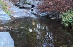 2026 10/03/26 Chantry Flat to Spruce Grove Campground TR (7.1 mi, 1,791 ft gain)